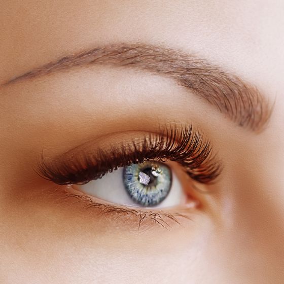 Brow & Lash Tint