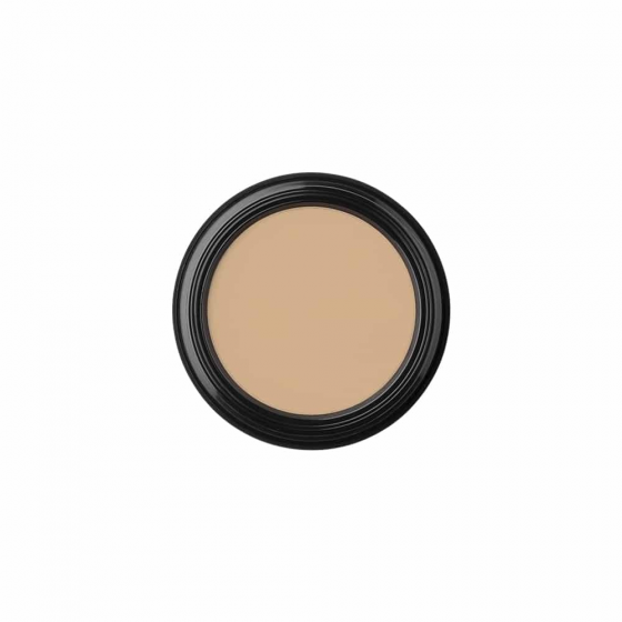 Glo Skin Beauty Oil Free Camouflage