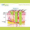 Celluma LED Light Therapy - Facial Add-On
