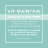VIP Repair details