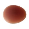 DIMRS® Nipple Covers - Cocoa