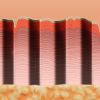 Ellacor® System with Micro-Coring™ Technology