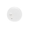 Virtue Labs Healing Oil - swatch