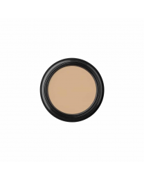 Glo Skin Beauty Oil Free Camouflage