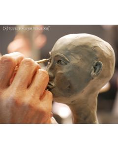 Sculpting for Surgeons: Clay + Cadaver