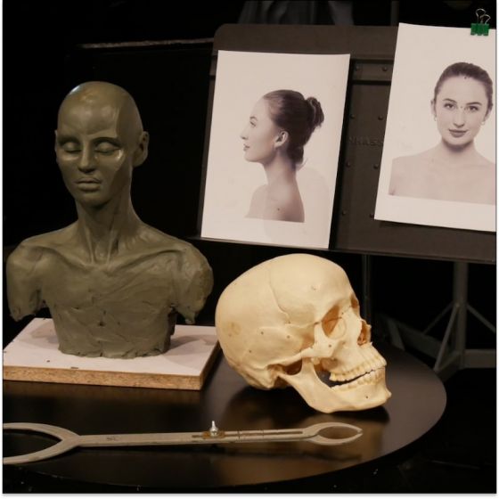 Sculpting for Surgeons in Florence Italy