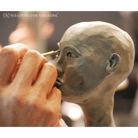 Sculpting for Surgeons: Clay + Cadaver