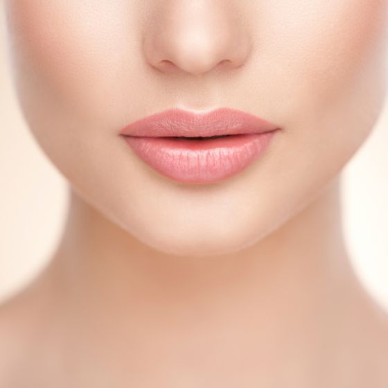 Lip Lift Consult with the Surgeon