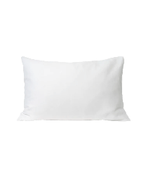 Clean Skin Club Clean Sleep Silver Ion Pillowcase