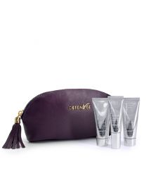 DefenAge® Pro Fly Kit