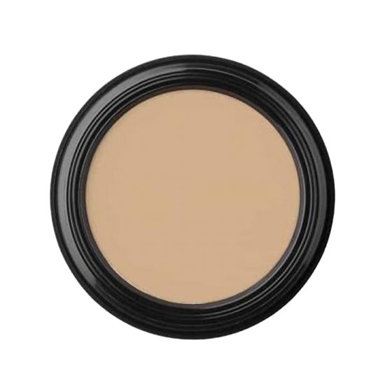 Glo Skin Beauty Oil Free Camouflage