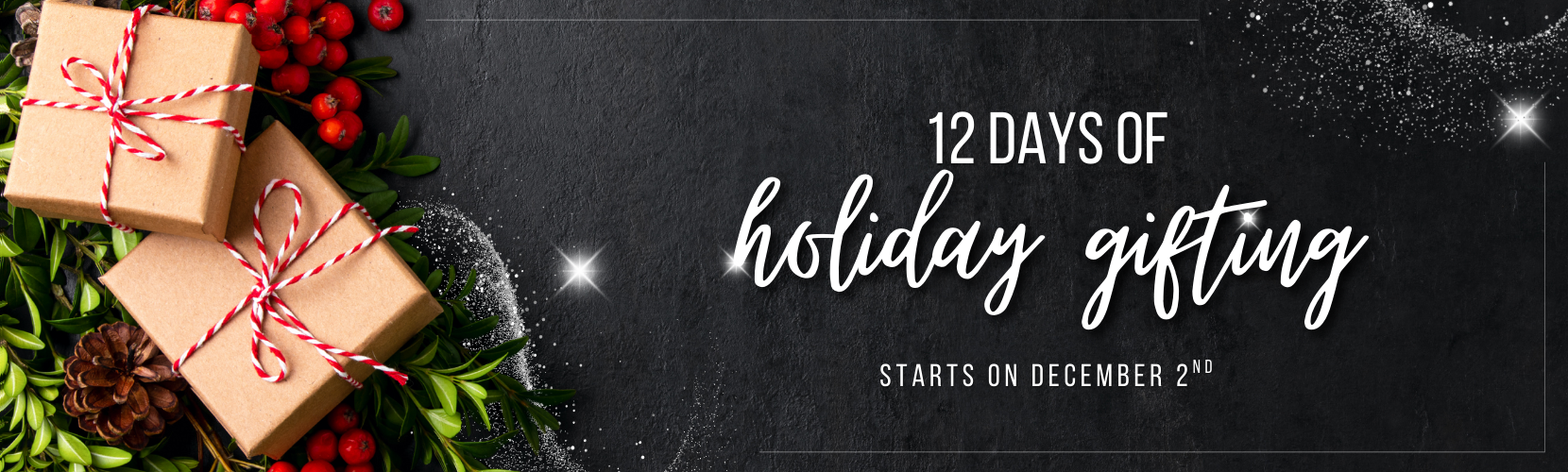 12 Days of Christmas is Coming!