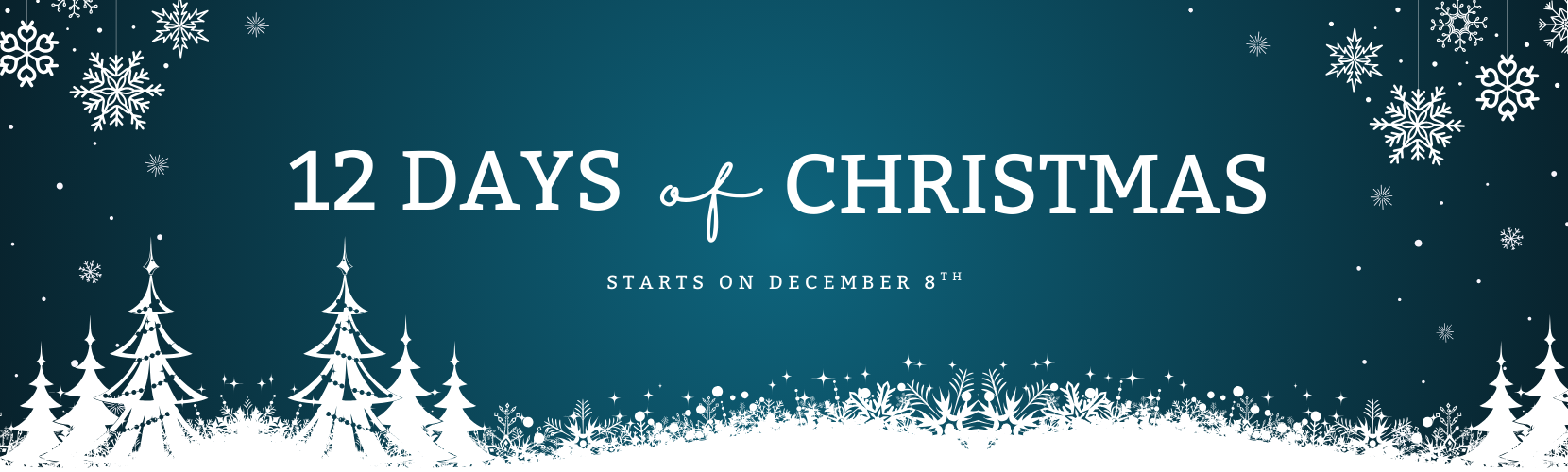 12 Days of Christmas is Coming!