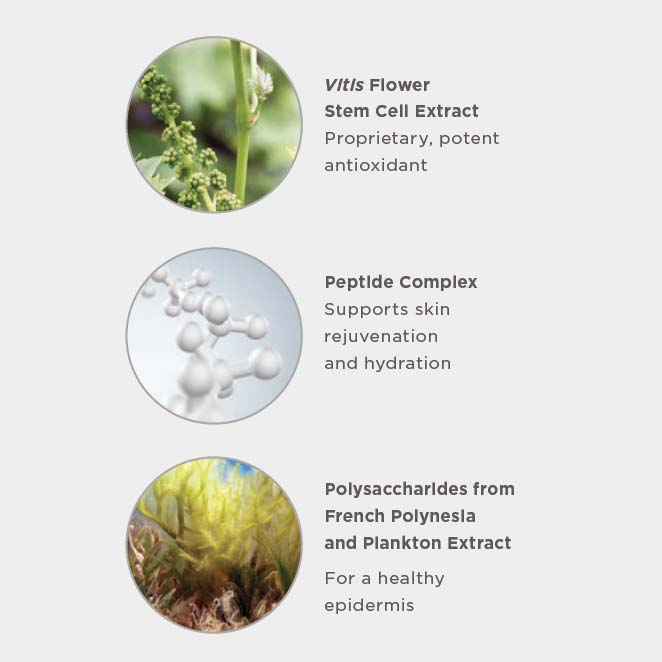 HA5 Plants