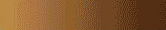Skin Type V - Dark Brown