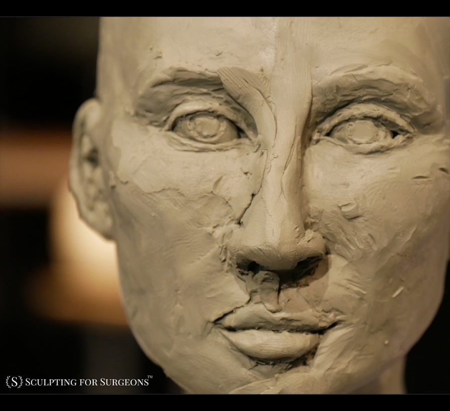 Boulder 2019 Sculpting for Surgeons