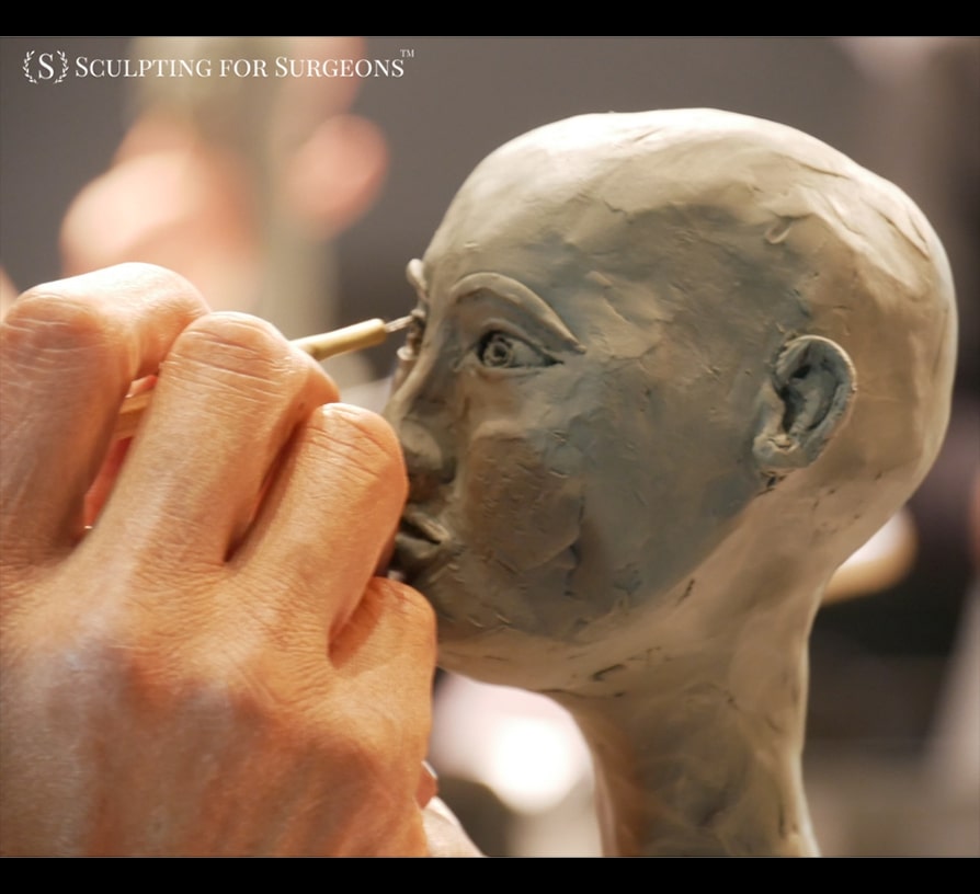 Boulder 2019 Sculpting for Surgeons